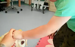 Malé kroky, veľká nádej – pomôžte Riškovi nájsť cestu k svetu