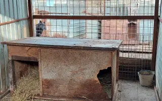 Pomôžte nám vyrobiť búdy pre psíkov v útulkoch