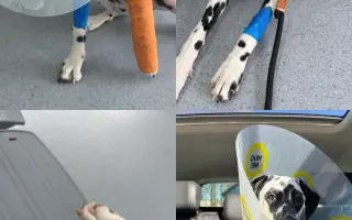 Pomohli ste Vayane na ceste k životu bez bolesti