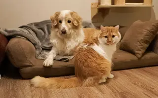 Pomôžte nám dať Dukovi šancu na ďalšie spoločné dni