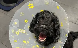 Pre Kyrka, ktorý bojuje s vážnou rakovinou