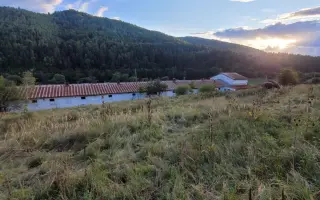 POMÔŽTE nám vybudovať farmu plnú radosti