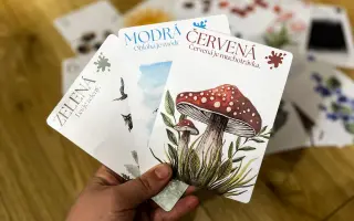 Pomôžte Hravému detstvu rásť – tvoríme učenie, ktoré deti baví