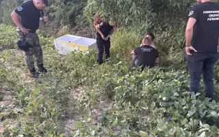 Podporte Pohotovostné cieľové pátranie 24/7