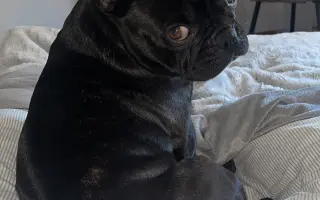 Zachráňme Artymu úsmev a život