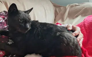 Laruška bojuje o život – pomôžme jej zvíťaziť nad bolesťou