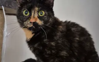 Pomôžte Vande dobehnúť do cieľa