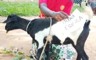 Spolu ušijeme lepšiu budúcnosť pre ženy v Ugande