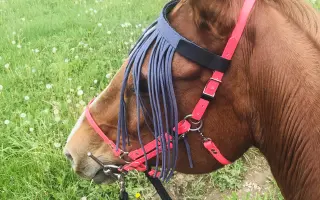 Jeden kôň. Jeden sen. Stovky kilometrov.