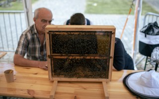 Pomôžte nám uskutočniť nezabudnuteľný Medový festival Bardejovského Medu