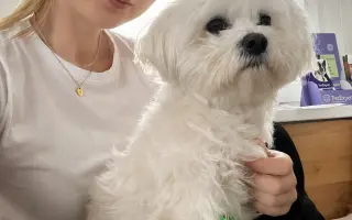 Pomohli ste Sendy bojovať o labku a pokračovať v liečbe