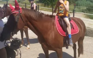 Pomôžme dvojičkám Walinkovi a Sebinkovi s autizmom