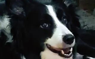 Pomôžte Sindy znovu behať a žiť bez bolesti. Posledná operácia splní náš sen 🙏