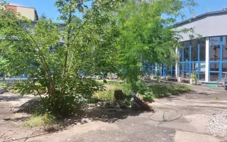 Pomôžme oživiť komunitnú záhradu nášho Gymnázia v Nitre