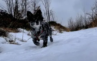 Pomôžme Filipkovi v boji s nádorom Pomôžme Filipkovi v boji s nádorom