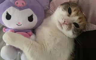Pomôžte mi uhradiť náklady za posledný boj mojej Karmy