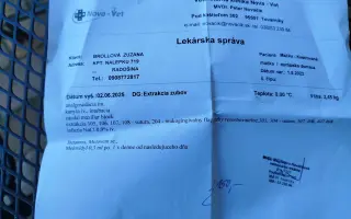 Pomôžte Zuzane zabezpečiť pomoc pre chorú mačku