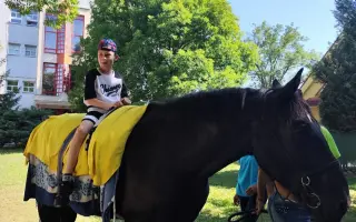 Pomôžme dvojičkám Walinkovi a Sebinkovi s autizmom