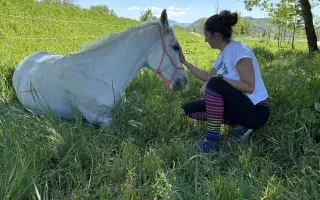 Jazdenie na koni Újazd | Podporate mladých farmárov v chove koní