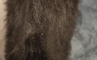 Laruška bojuje o život – pomôžme jej zvíťaziť nad bolesťou