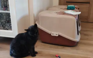 Laruška bojuje o život – pomôžme jej zvíťaziť nad bolesťou