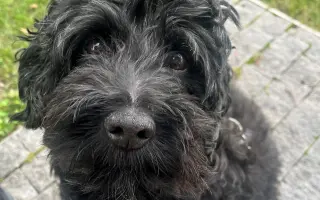 Pomôžte Kyrkovi pokračovať v liečbe vzácneho nádoru nadobličky