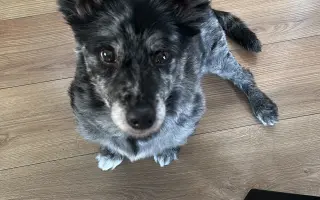 Pomôžme Filipkovi v boji s nádorom Pomôžme Filipkovi v boji s nádorom