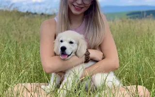 Srdce pre Draka  - psíka, ktorý chce liečiť srdcia iných❤️‍🩹