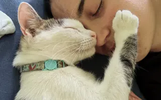 Salty bojuje o svoj tretí život – pomôžme mu vyhrať boj s FIP