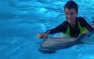 Darujme Dávidkovi delfínoterapiu