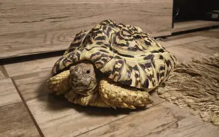 Farmička Monili : Spolu vybudujme lepšie miesto pre zvieratá