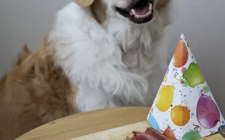 Pomohli ste Dukovi pokračovať v liečbe a kontrolách