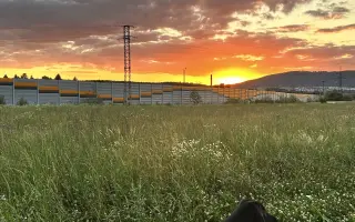 Pomôžme Bakimu chodiť bez bolesti
