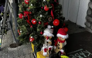 Pomôžme Teovi získať šancu na život bez bolesti