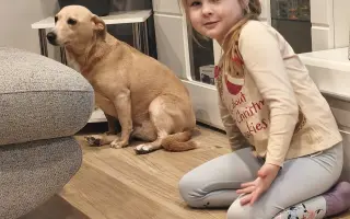 Dajme Minnie možnosť chodiť bez bolesti