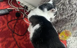 Pomohli ste Kokovi v boji s agresívnou rakovinou FISS