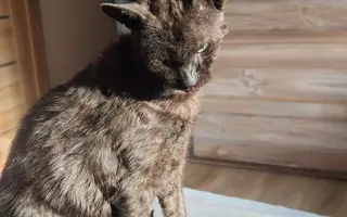 Laruška bojuje o život – pomôžme jej zvíťaziť nad bolesťou