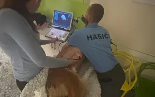 Pomôžme záchranárskemu psíkovi Qvídovi