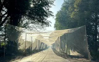 Darované rybárske siete ako ochrana proti dronom - pomôžme zabezpečiť dopravu