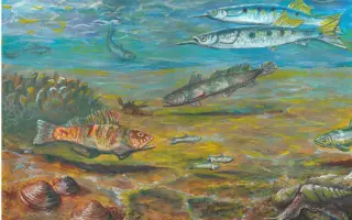 O čom svedčia vrstvy, Geológia okresu Vranov nad Topľou
