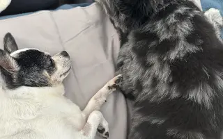 Pomôžme Filipkovi v boji s nádorom Pomôžme Filipkovi v boji s nádorom