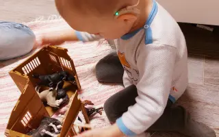 Podporte Timotejkovu cestu za hlasom