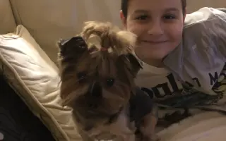 Pomôžme zabezpečiť potrebnú operáciu pre Chelsea