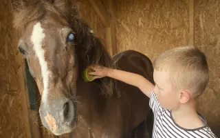 Pomôžme Verbinke žiť život bez bolesti