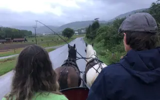Pomôž nám vybudovať centrum pre kone