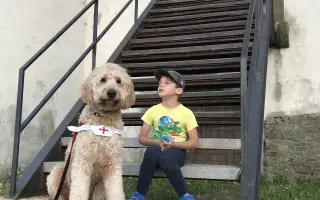 Pomôžme Bobovi opäť pomáhať