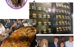 Podpor vznik knihy Ako byť IN(kluzívny)?