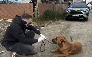 Darujme útulku CERBERUS v Senici nové oplotenie