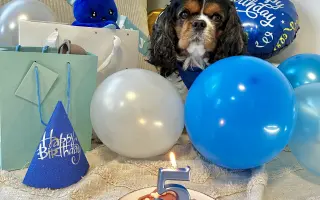 Pomôžme mladému Samkovi v boji so zlyhávanim srdiečka. Zachránime mu život.