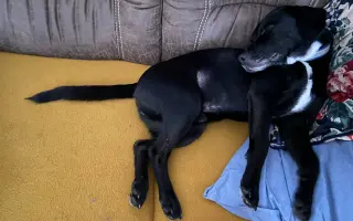 Darujme Benjimu nový život bez bolesti